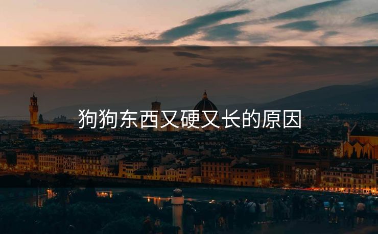 狗狗东西又硬又长的原因