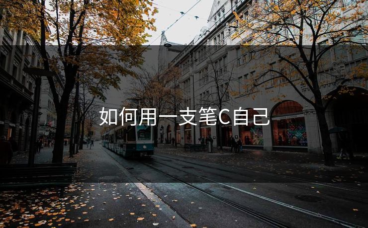 如何用一支笔C自己